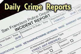 Daily Crime Reports